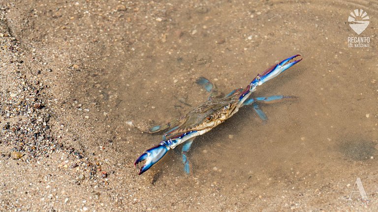 Posada de Lujo y Cerca de la Naturaleza rctsol3a
