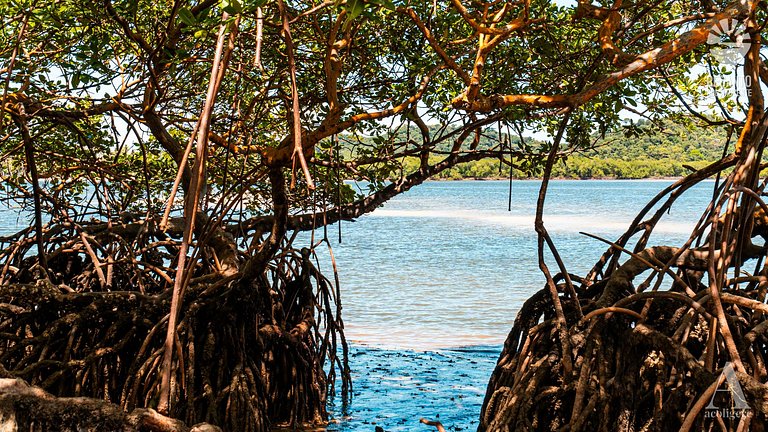 Posada de Lujo y Cerca de la Naturaleza rctsol3a