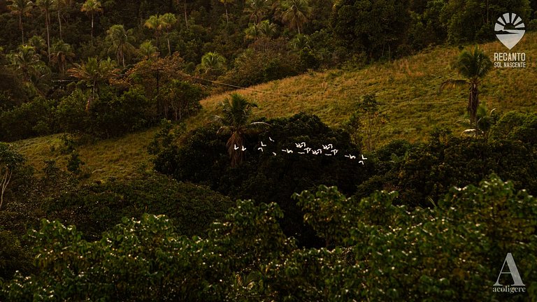 Posada de Lujo y Cerca de la Naturaleza rctsol3b