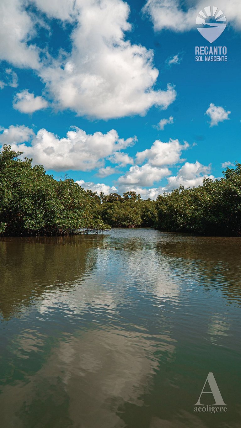 Luxury Inn and Close to Nature rctsol5a