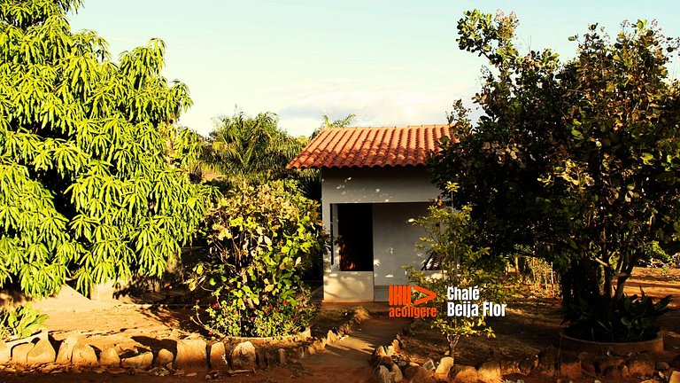Bem-te-vi Apartment Space for Groups and Families