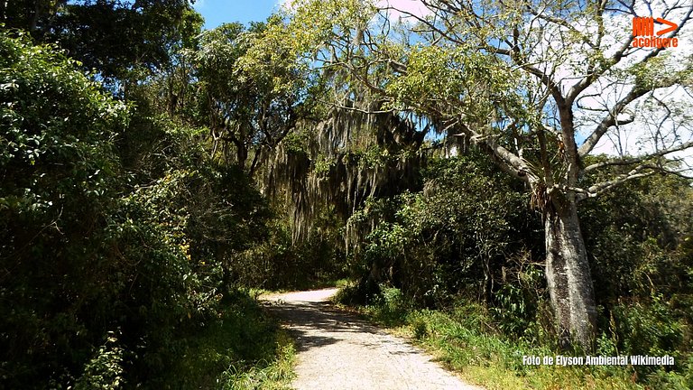 Pousada Casarão do Jabre: História e Natureza JABRE1