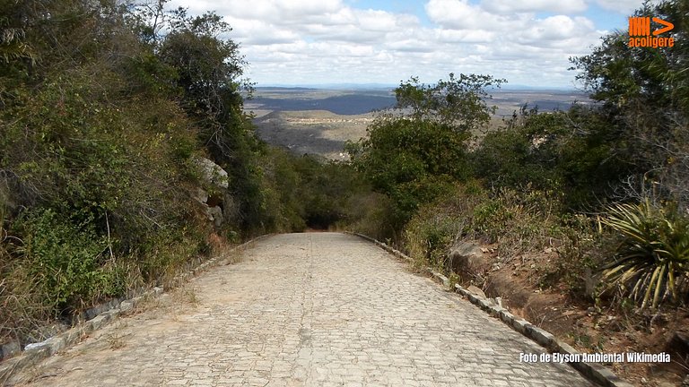 Apartamento Galo de Campina Confort en la Montaña