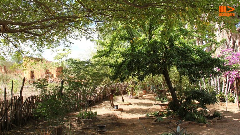 Sabiá do Campo Apartment – ​​Charm and Comfort