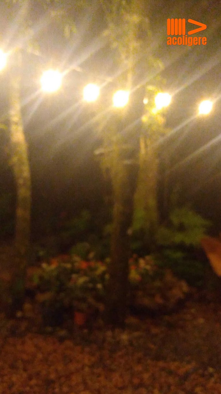 Cozy Refuge in Canela Nature & Comfort
