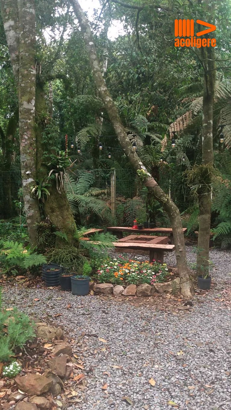 Cozy Refuge in Canela Nature & Comfort