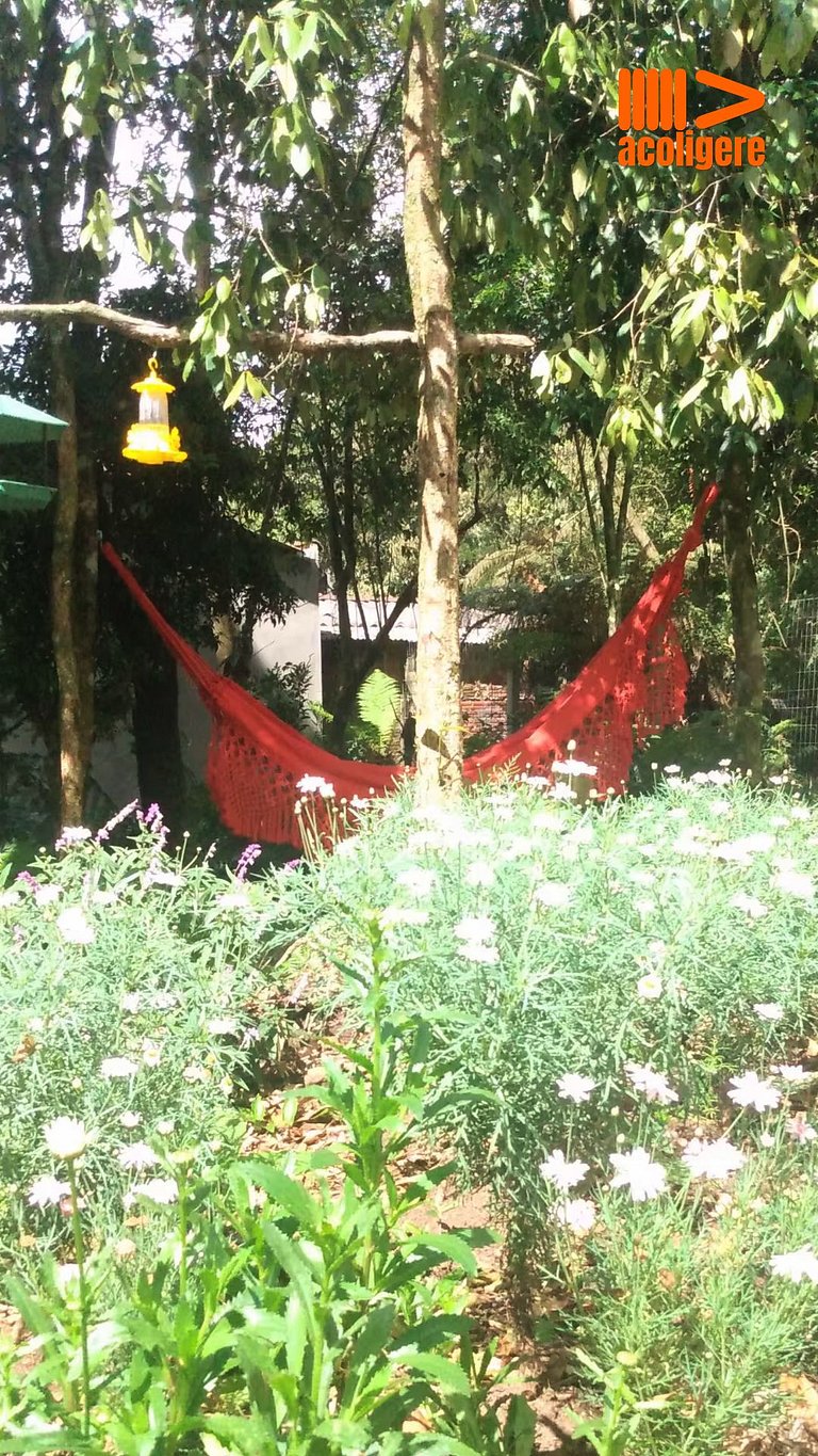 Cozy Refuge in Canela Nature & Comfort