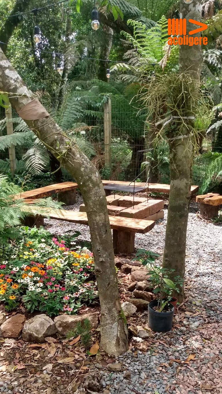 Cozy Refuge in Canela Nature & Comfort
