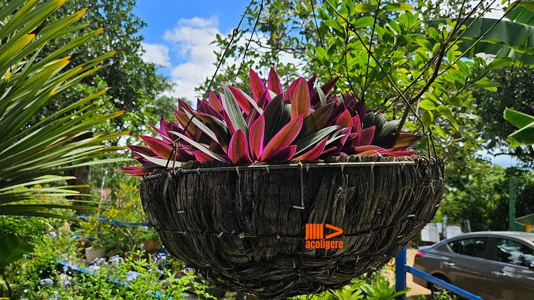 Casa de Meg Suíte 3 c varanda e vista para o verde