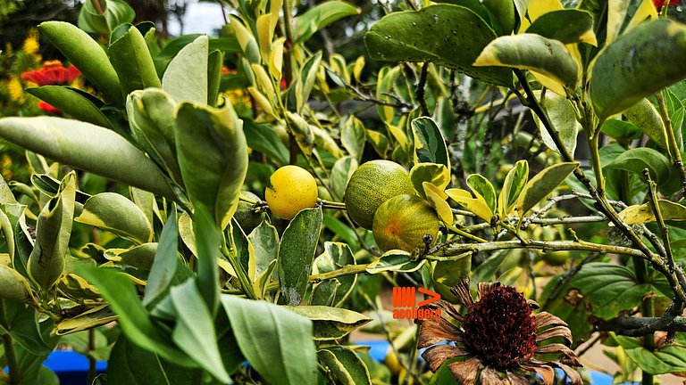 Casa de Meg – Charme e Natureza na Serra Negra