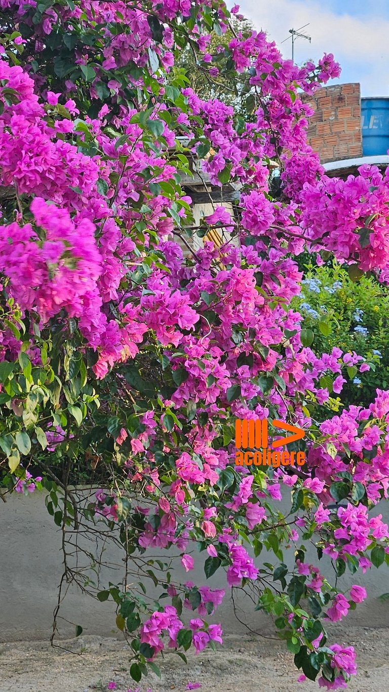 Suite 2 de Meg's House: Espaciosa chimen y terraza