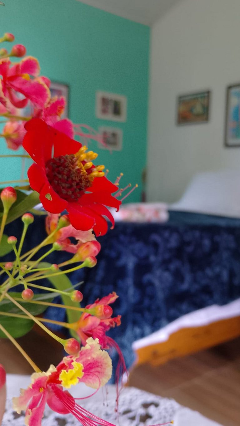 Suite 4 de la Casa de Meg Romántica y colonial
