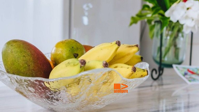 Refuge in Guarajuba for up to 6 people POND02