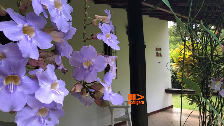 Charming accommodation surrounded by nature POND01