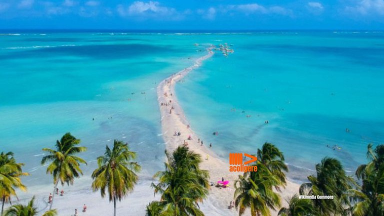 Suíte confortável junto ao mar de Maragogi HBF2