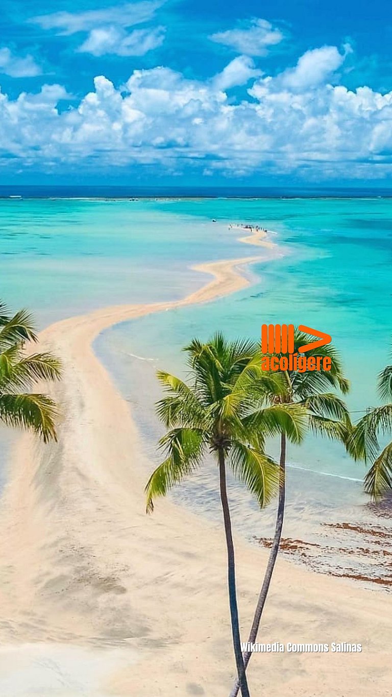 Comfortable suite by the sea in Maragogi HBF2